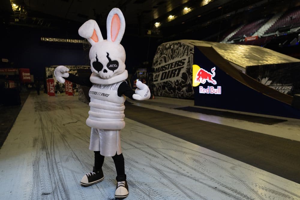 Skullbunny